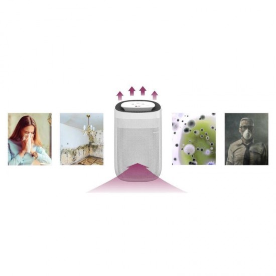 Dezumidificator si purificator de aer Airbi Sponge BI2000