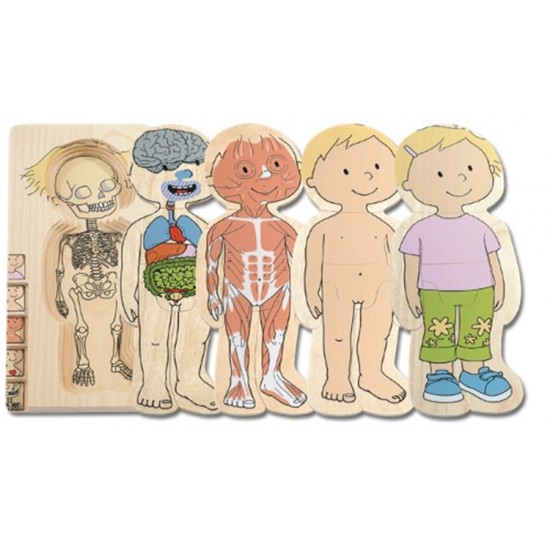 Puzzle stratificat Corpul tau Fetita Beleduc