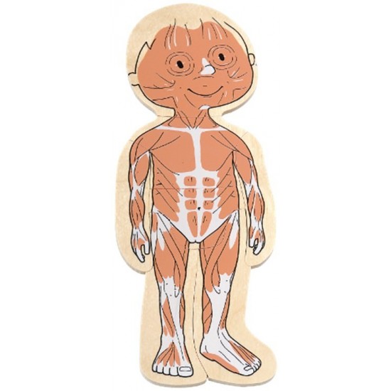 Puzzle stratificat Corpul tau Fetita Beleduc