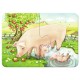Puzzle Animale la ferma 2/4/6/8 piese
