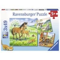 Puzzle Animale si pui - 3x49 piese