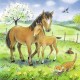 Puzzle Animale si pui - 3x49 piese