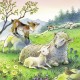 Puzzle Animale si pui - 3x49 piese