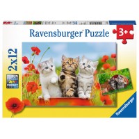 Puzzle Aventura pisicutelor 2x12 piese