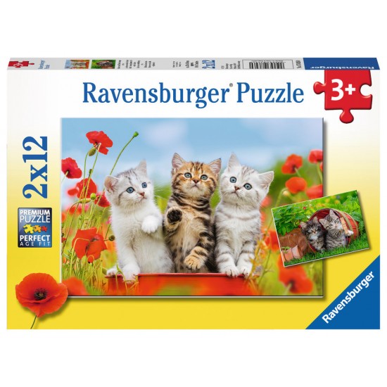 Puzzle Aventura pisicutelor 2x12 piese