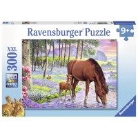Puzzle Cal cu manz 300 piese