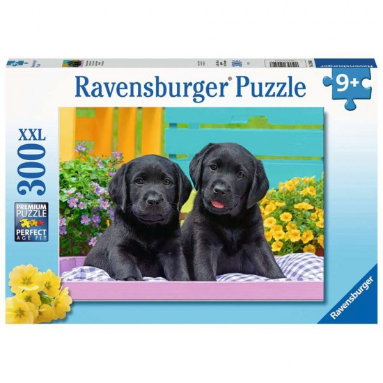 Puzzle Catelusi 300 piese Ravensburger