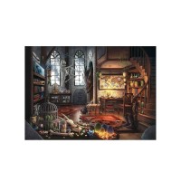 Puzzle Exit 5 - Laboratorul vrajitorului 759 piese