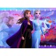 Puzzle cu sclipici Frozen II Elsa si Anna 100 piese