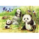 Puzzle Koala si Panda - 2x24 piese