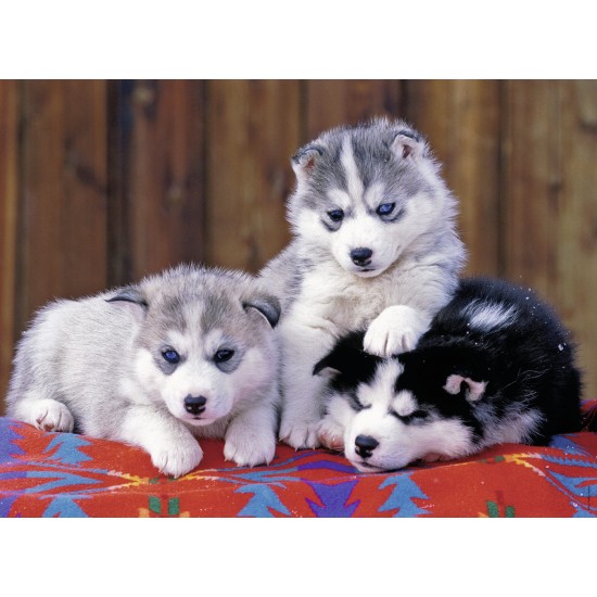 Puzzle Pui de Huskie - 200 piese