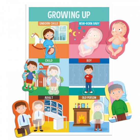 Joc educativ - Sa invatam partile corpului!