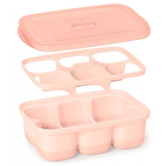 Recipiente pentru congelare Skip Hop Gri / Roz