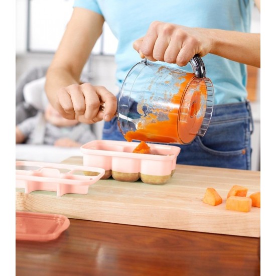 Recipiente pentru congelare Skip Hop Gri / Roz