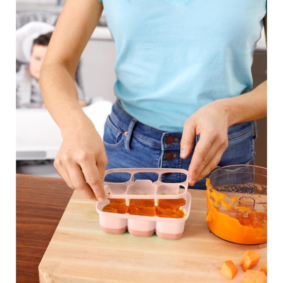 Recipiente pentru congelare Skip Hop Gri / Roz