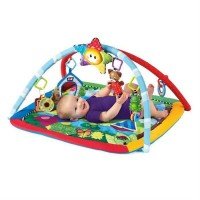 Salteluta de Activitati Omida si Prietenii Baby Einstein