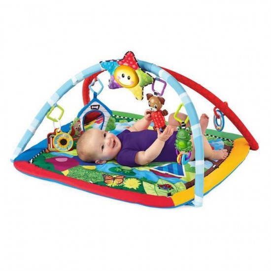 Salteluta de Activitati Omida si Prietenii Baby Einstein