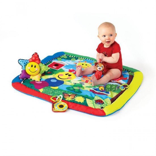 Salteluta de Activitati Omida si Prietenii Baby Einstein