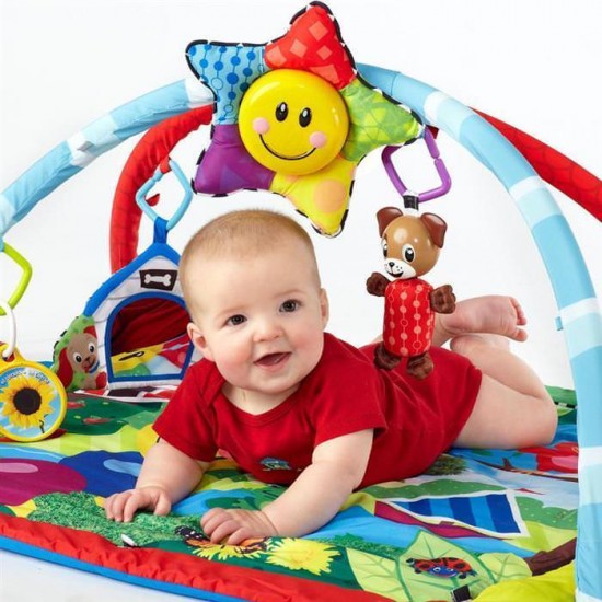 Salteluta de Activitati Omida si Prietenii Baby Einstein