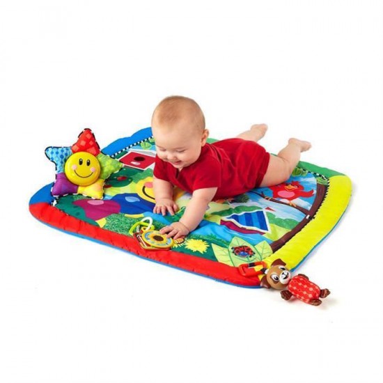 Salteluta de Activitati Omida si Prietenii Baby Einstein