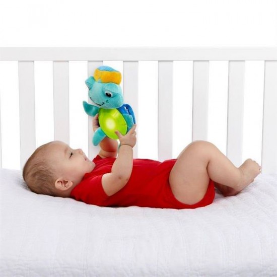 Salteluta de Joaca Experienta In Recif Baby Einstein