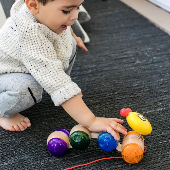 Jucarie din lemn Hape Inch Along Cal Baby Einstein