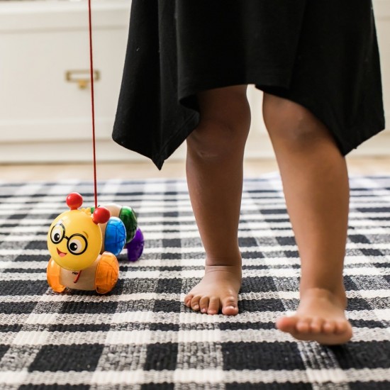 Jucarie din lemn Hape Inch Along Cal Baby Einstein