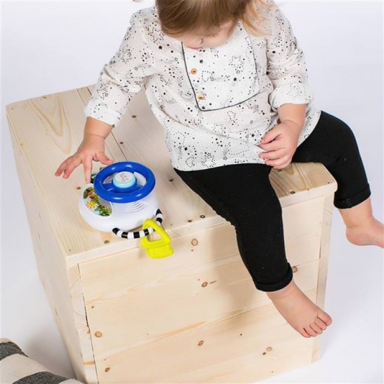 Jucarie volan muzical cu lumini Driving Tunes Baby Einstein