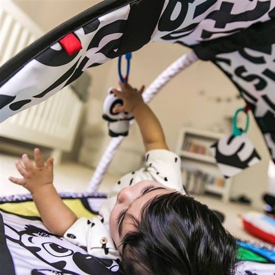 Salteluta de activitati Bold New World Baby Einstein