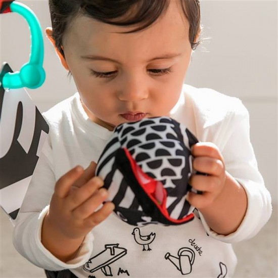 Salteluta de activitati Bold New World Baby Einstein