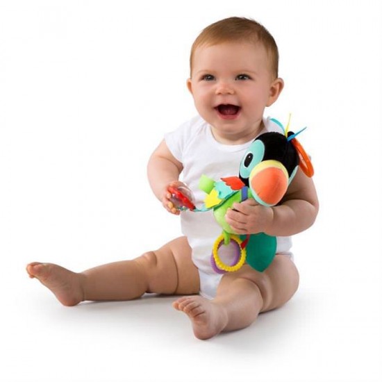 Jucarie senzoriala Pasarea Vesela Bright Starts