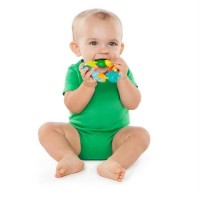 Jucarie rontaitoare Buggie Bites Bright Starts