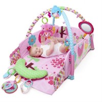 Salteluta de joaca 5 in 1 Sweet Songbirds Bright Starts