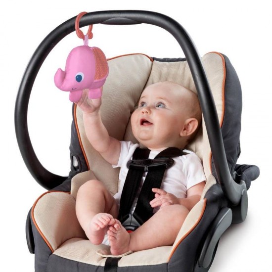 Salteluta de activitati Fanciful Flowers Bright Starts