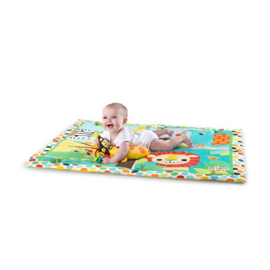 Salteluta de activitati Room For Fun Bright Starts