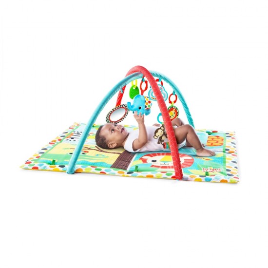 Salteluta de activitati Room For Fun Bright Starts