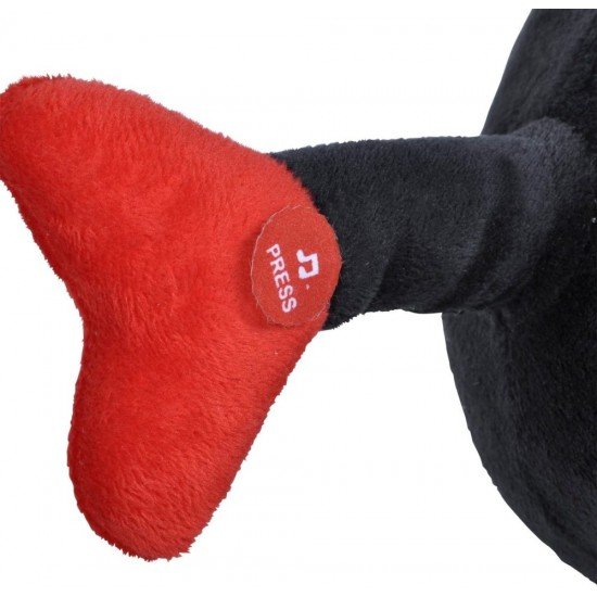 Balansoar muzical Buburuza Selma