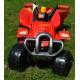 Quad cu pedale Red Fire