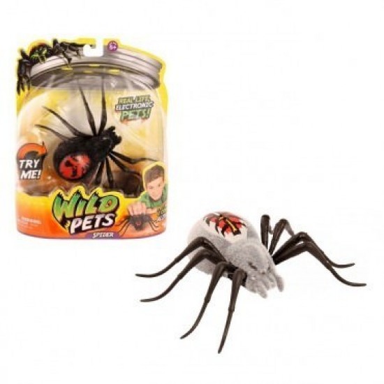 Paianjen electronic - Wolfgang