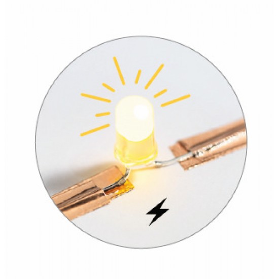 Atelier Arta, Stiinta, Tehnologie Djeco - Insectarium