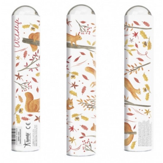 Caleidoscop Londji Veverite in padure