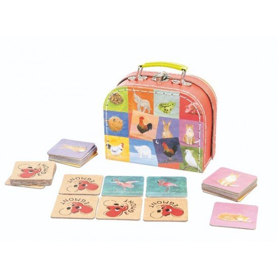 Joc de memorie Antonime