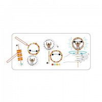 Set creativ DIY Djeco - Taumatrop