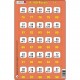 Set 16 Puzzle-uri 0 - 100, 25 Piese Larsen LRP48