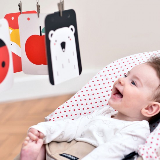 Set carti si cartonase cu contrast ridicat pentru bebelusi 9 piese Banana Panda