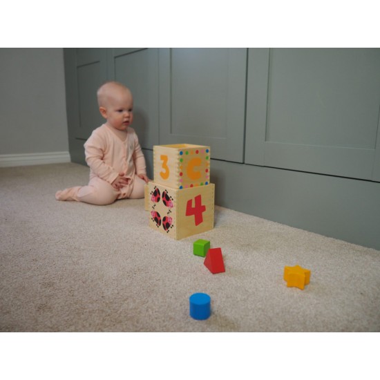 Cuburi de construit cu forme si litere Jumini