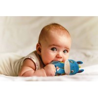 Jucarie senzoriala Baby Donkey Ludi