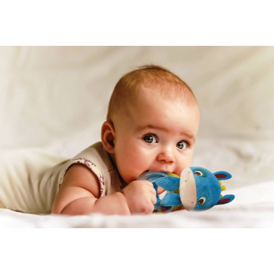 Jucarie senzoriala Baby Donkey Ludi