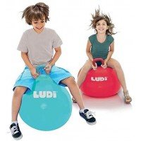 Minge saltareata Blue 55 cm Ludi