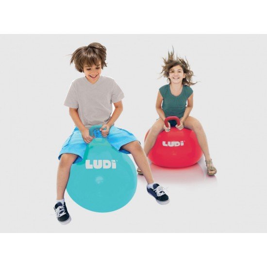 Minge saltareata Blue 55 cm Ludi
